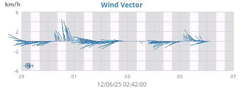 Wind Vector